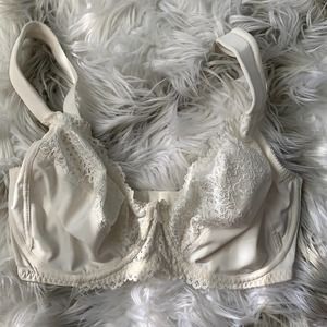 Curve Muse Unlined Underwire Bra 34DDD